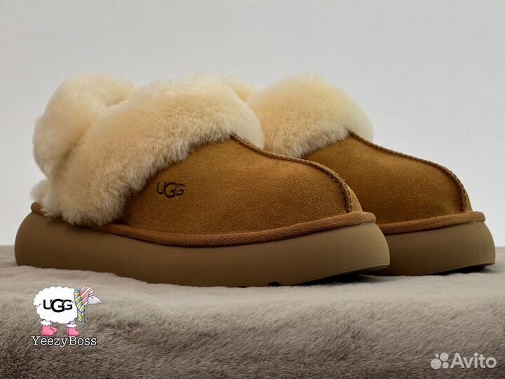 Угги тапочки женские Ugg Slippers Disquette