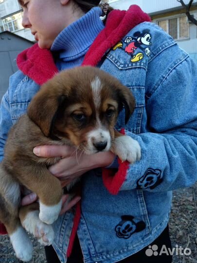 Первая малышка