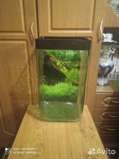 Аквариум 30 л из цельного, толстого стекла 7 мм