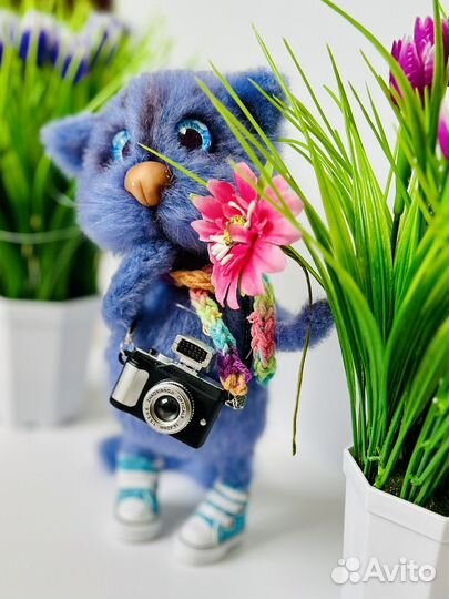 Малыш в кедах 