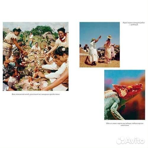 Аттенборо Д. 