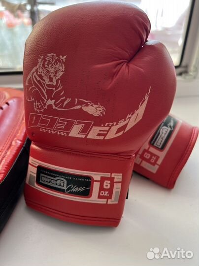 Лапа для единоборств