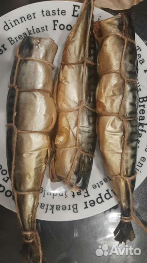 Коптильня с дымогенератором