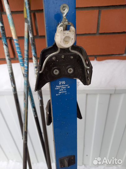 Беговые лыжи