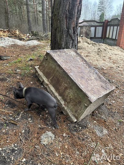 Тара железная металл