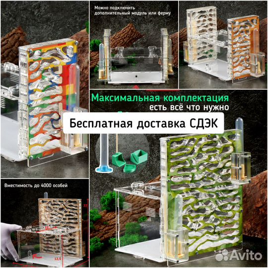 Муравьиные фермы с муравьями, доставка