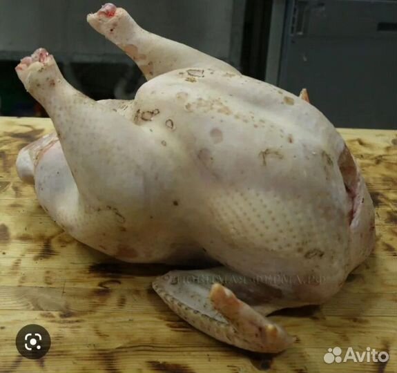 Мясо домашней индейки