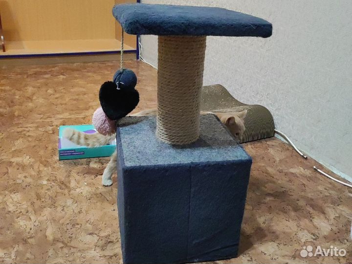 Домик для кошки с когтеточкой