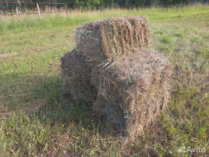 Сено в брикетах