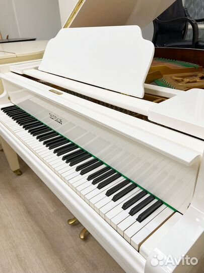 Рояль Petrof кабинетный миньон 137 см