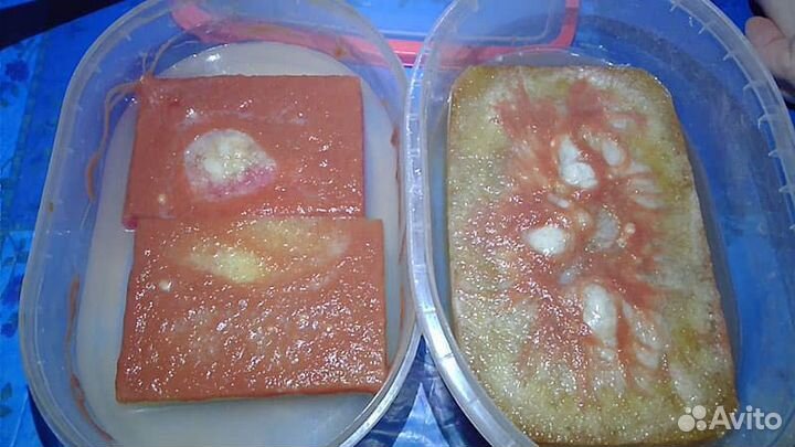 Живой корм для аквариумных рыбок