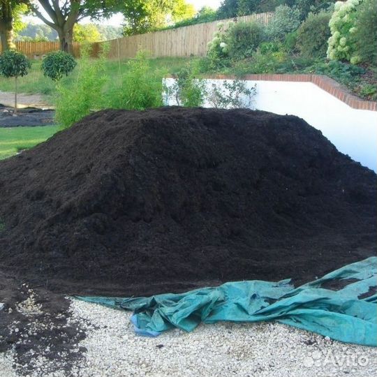 Земля, чернозем