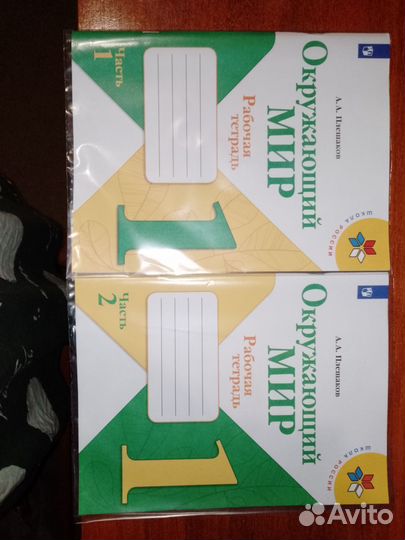 Окружающий мир рабочая тетрадь 2 части 1 класс