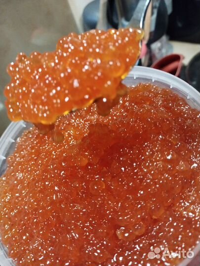 Икра горбуши