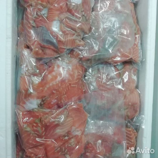 Обрезь семги(лосось)