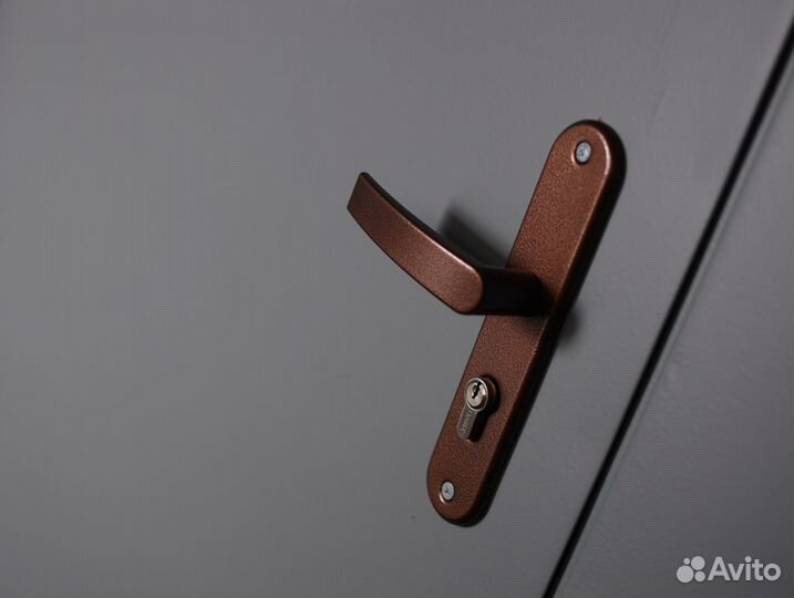 Дверь входная металлическая тамбурная