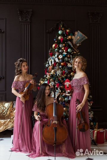 Музыканты на мероприятие