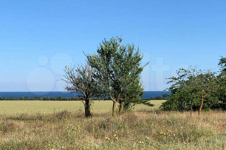 Участок 100 сот. (СНТ, ДНП)