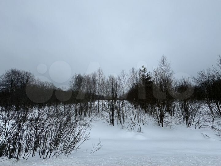 Участок 51 сот. (ИЖС)