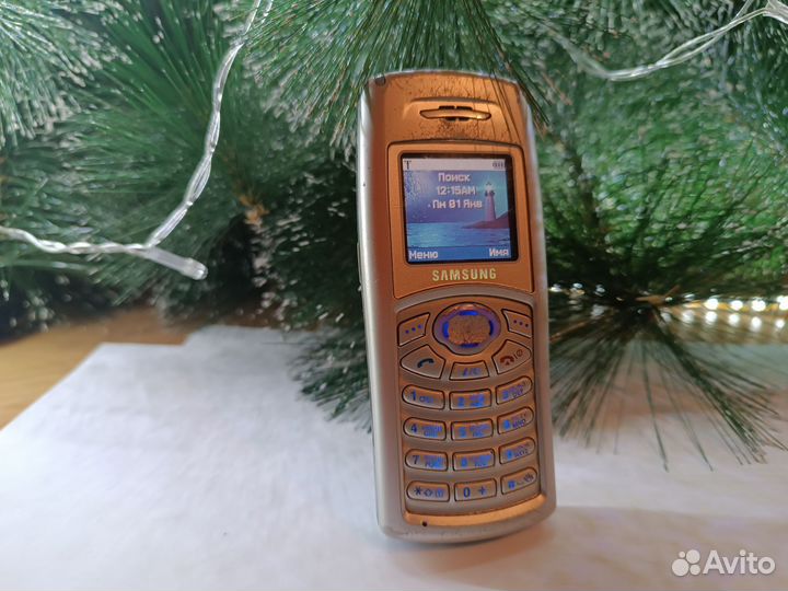 Samsung SGH-C100