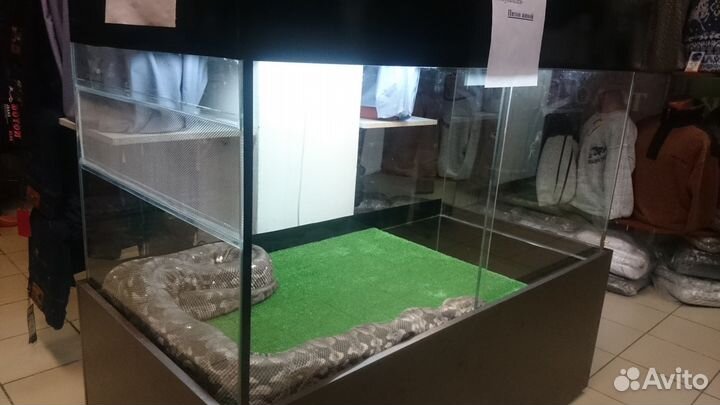 Террариумы на заказ