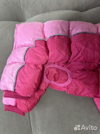 Одежда для собак мелких пород