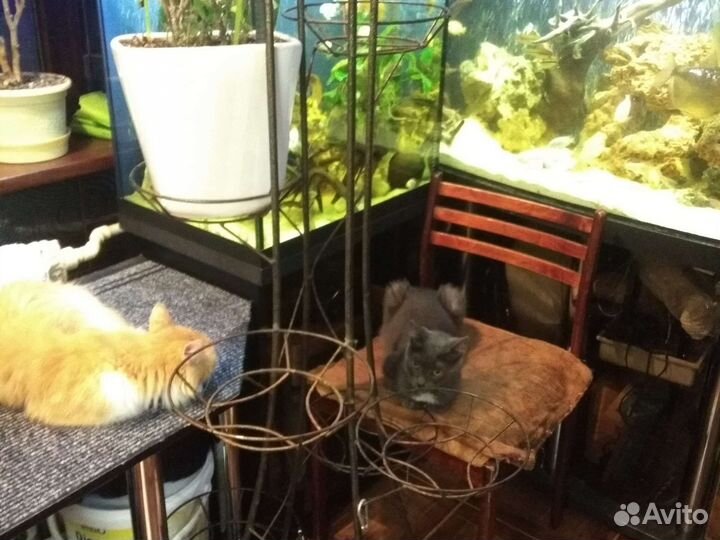 Стойка для цветов металическая