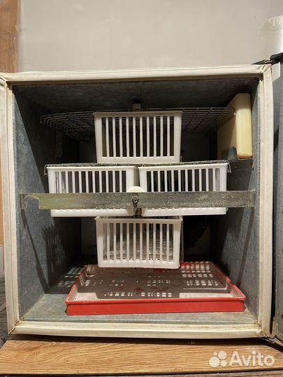 Инкубатор для яиц бу