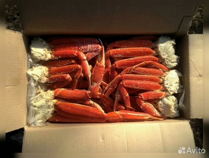 Конечности краба стригуна