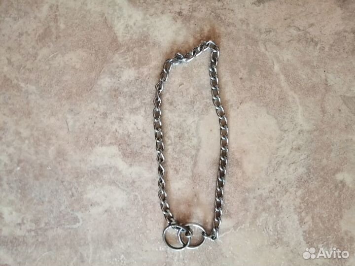 Ошейники