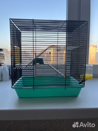Клетка для хомяка бу