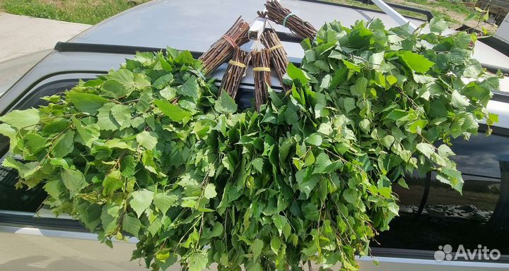 Берёзовый Веник