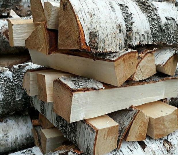 Дрова береза