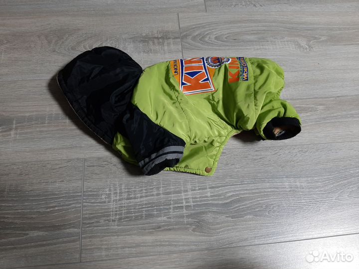 Одежда для животных