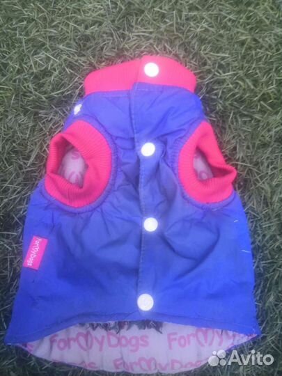 Собачья жилетка