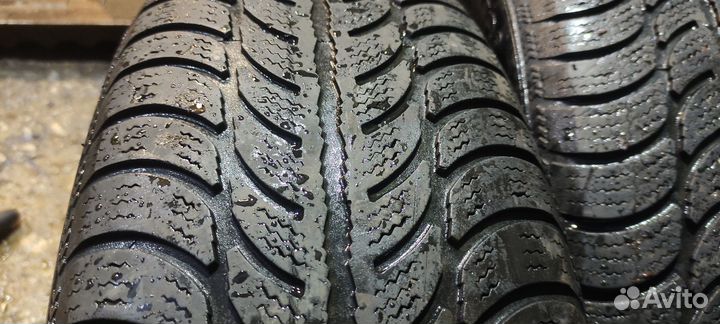 Sava Eskimo HP2 195/65 R15