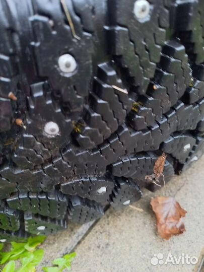 Зимние колеса tunga nordway 2