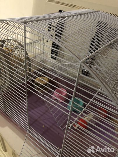 Клетка для грызунов