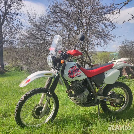 Honda XR250