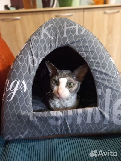 Домик для кошки или маленькой собачки