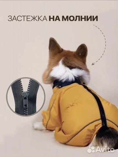 Дождевик (комбинезон) для собак