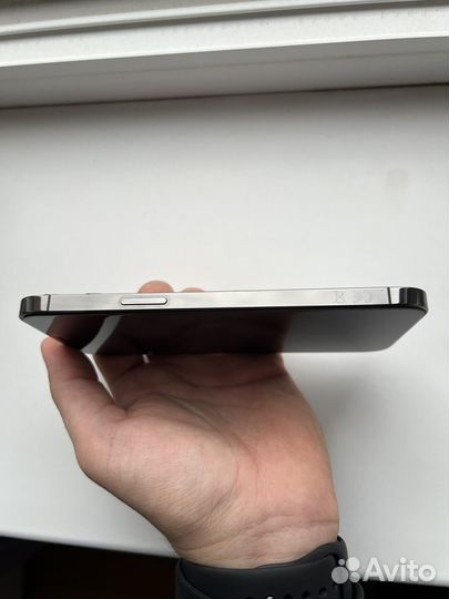 iPhone 12 Pro Max, 256 ГБ