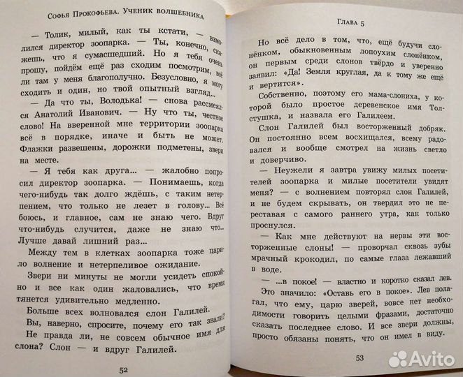 Ученик волшебника