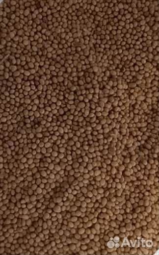 Соя продовольственная