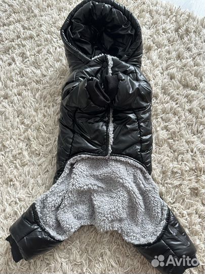 Комбинезон XL на собачку Новый