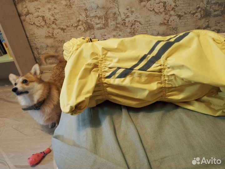 Комбинезон для средней собаки