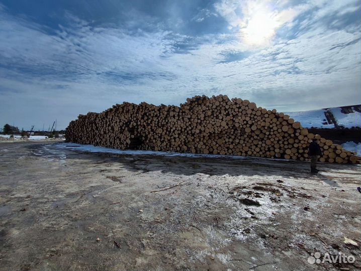 Лес кругляк пиловочник