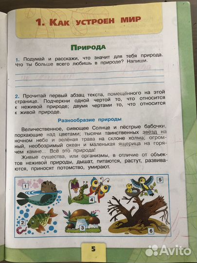 Рабочая тетрадь по окружающему миру 3 класс