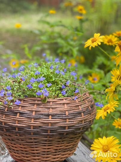 Корзина плетеная из ротанга