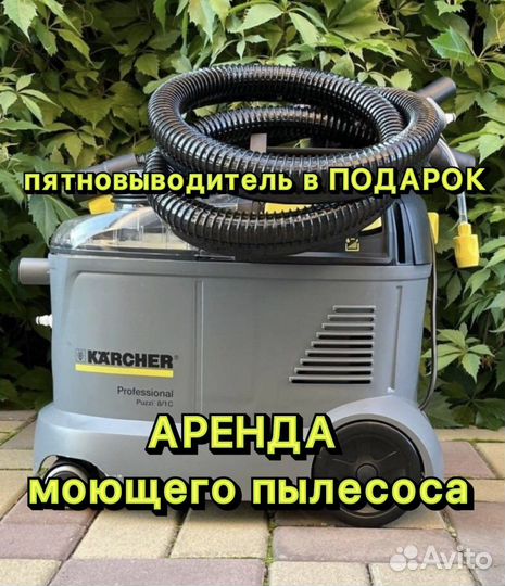 Аренда моющего пылесоса karcher